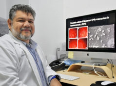 Investigador de la Facultad de Ciencias Biológicas desarrolla biosensores para detectar bacterias patógenas y toxinas