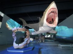 Museo de la Evolución resguarda colección científica más importantes del estado