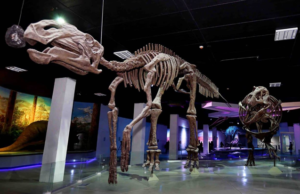 Descubre Puebla a través de sus museos estas vacaciones