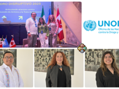 Comunidad UDLAP participó en foro organizado por la Oficina de la ONU