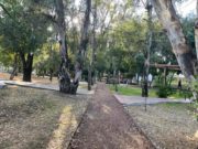Preservar los parques ‘Juárez’ y Ecológico: un llamado ante el proyecto de cablebús en Puebla
