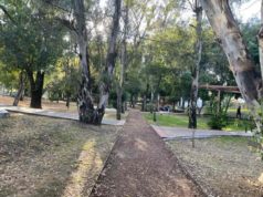 Preservar los parques ‘Juárez’ y Ecológico: un llamado ante el proyecto de cablebús en Puebla