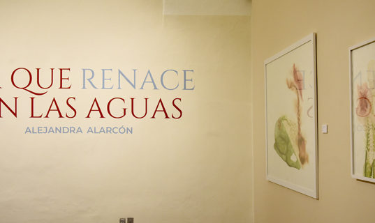 El arte nos permite atravesar la dualidad entre la vida y la muerte: Alejandra Alarcón