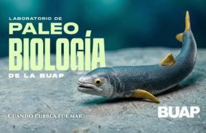 Laboratorio de Paleobiología de la BUAP, evidencia de vida del pasado para interpretar el presente y vislumbrar un futuro