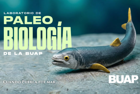 Laboratorio de Paleobiología de la BUAP, evidencia de vida del pasado para interpretar el presente y vislumbrar un futuro