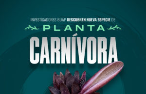 Investigadores BUAP descubren nueva especie de planta carnívora