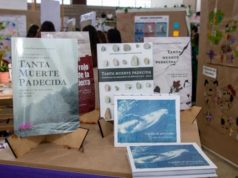 Escritores con sello humano: materializa tus ideas literarias en la IBERO Puebla