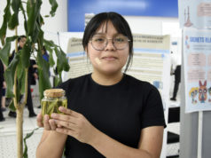 Propone estudiante BUAP aprovechar residuos de agave para crear fibras textiles