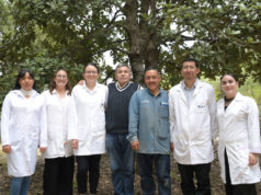 Crean nanomateriales en la BUAP para combatir plagas por gusano barrenador