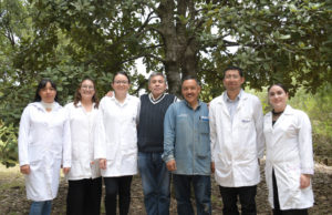 Crean nanomateriales en la BUAP para combatir plagas por gusano barrenador