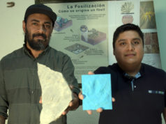 Investigadores BUAP registran nuevas huellas de dinosaurio en Puebla