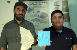 Investigadores BUAP registran nuevas huellas de dinosaurio en Puebla
