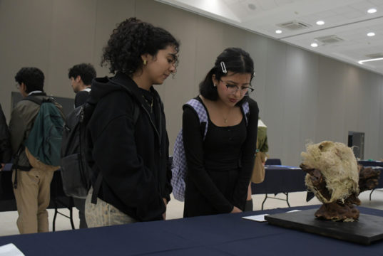 BioArte, espacio que impulsa la capacidad artística de los estudiantes